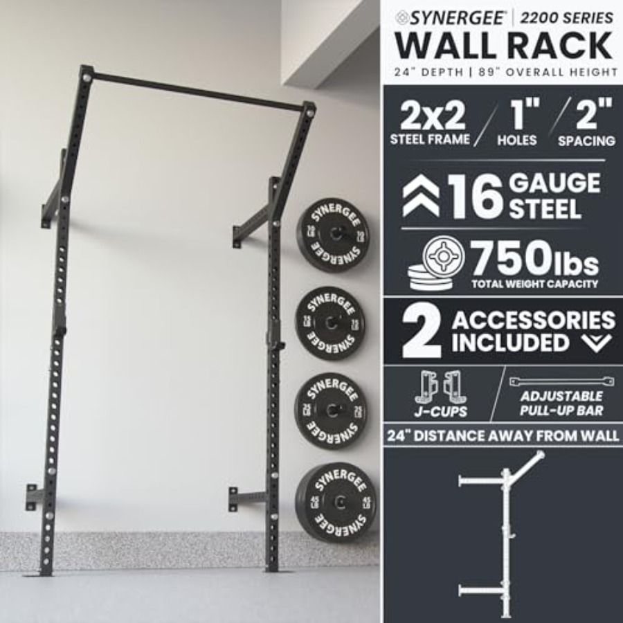 Rak Squat Dinding untuk penggu - Home Gym Wall ulasan dan harga