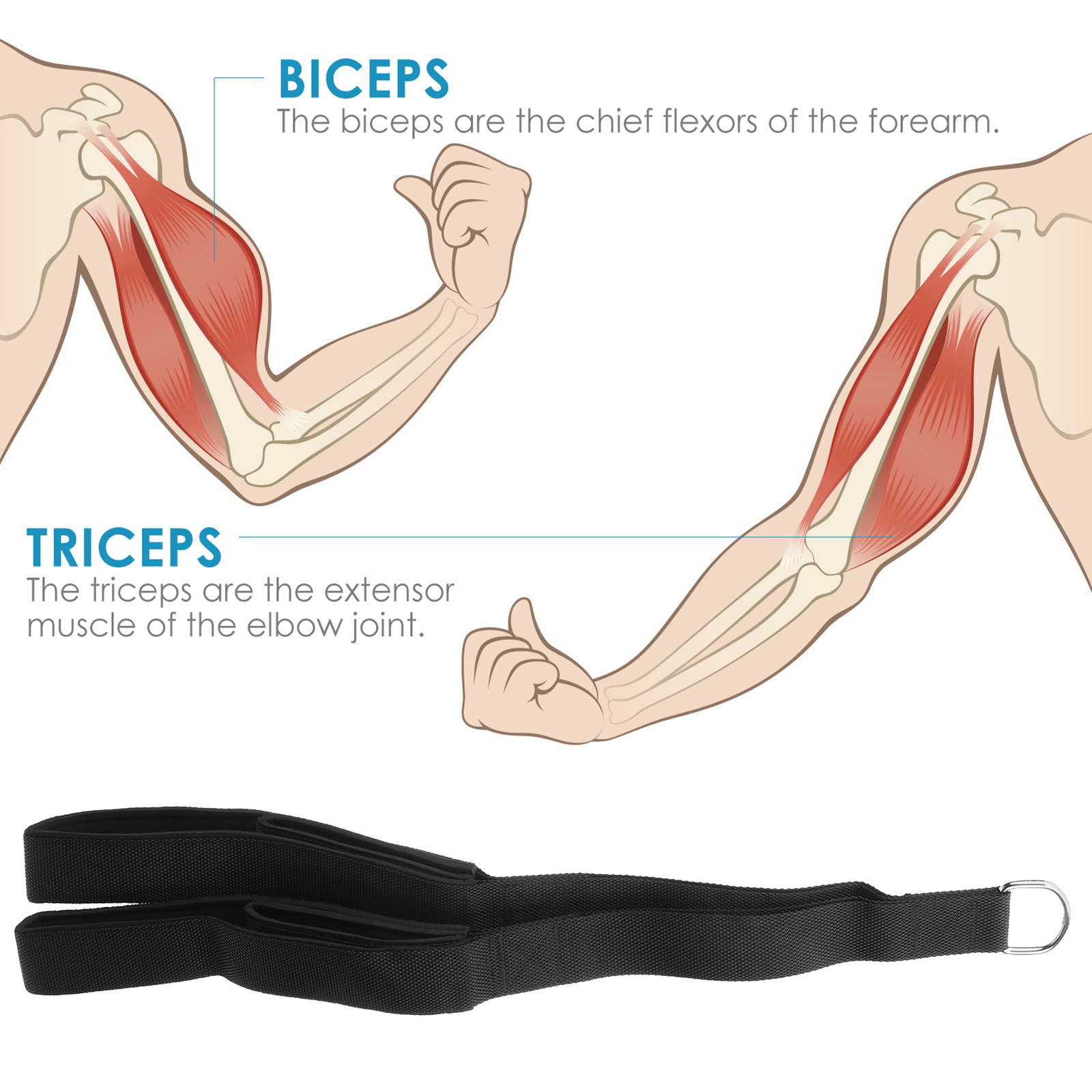 Tali Tarik Trisep Dual Grip, B - Home Gym Hammer Strength ulasan dan harga