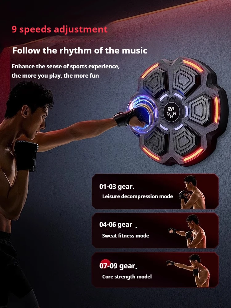 Target Tinju Dinding yang Dapa - Home Gym Wall ulasan dan harga