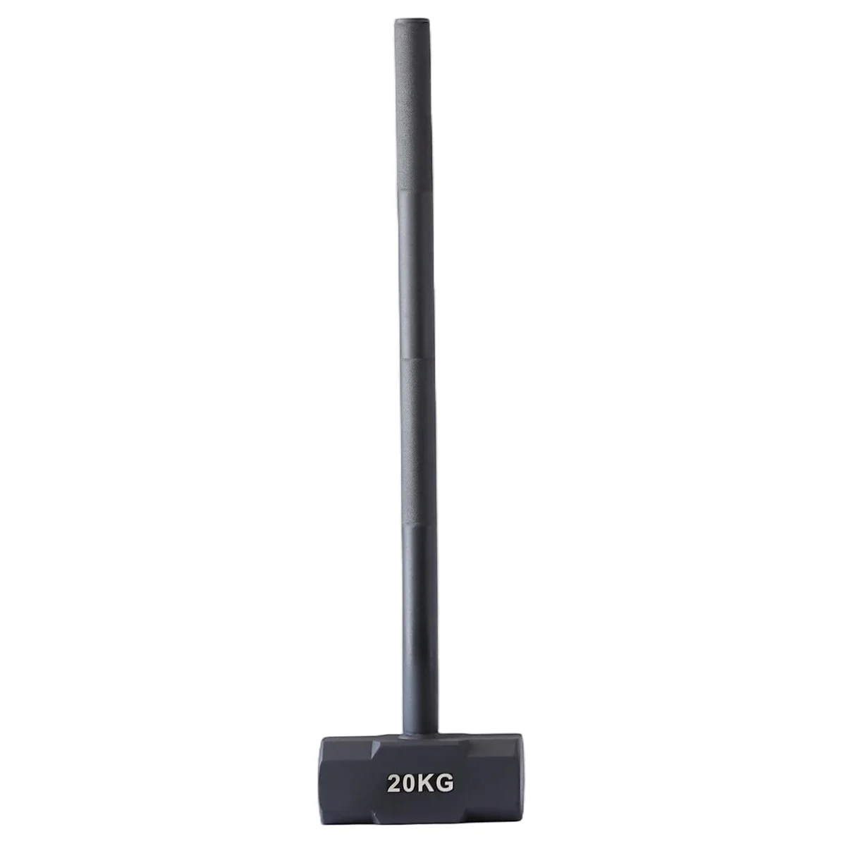 Palu Besi Gym 20kg Tahun 2026  - Home Gym Hammer Strength ulasan dan harga