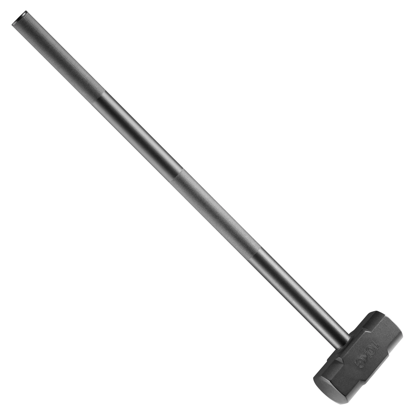 Palu Besi Gym 20kg Tahun 2026  - Home Gym Hammer Strength ulasan dan harga